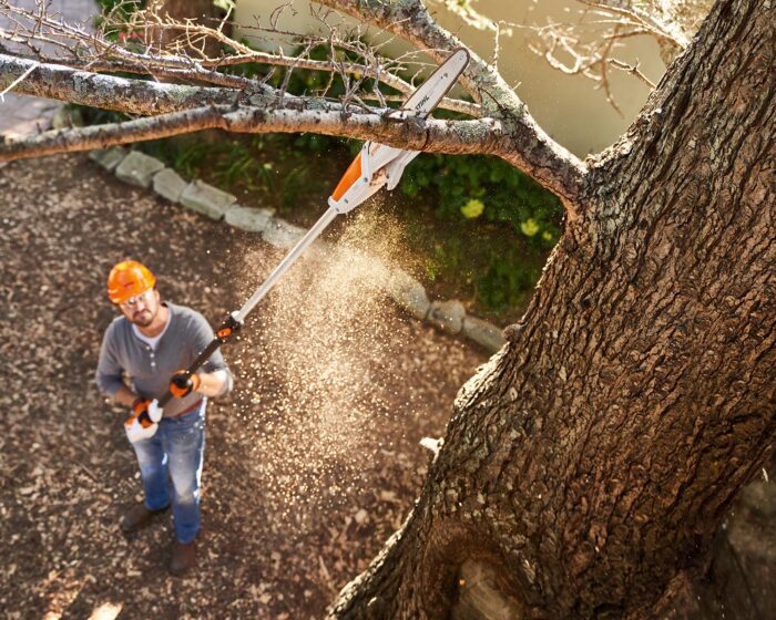 STIHL HTA50 Cordless Pole Pruner Set - Image 5