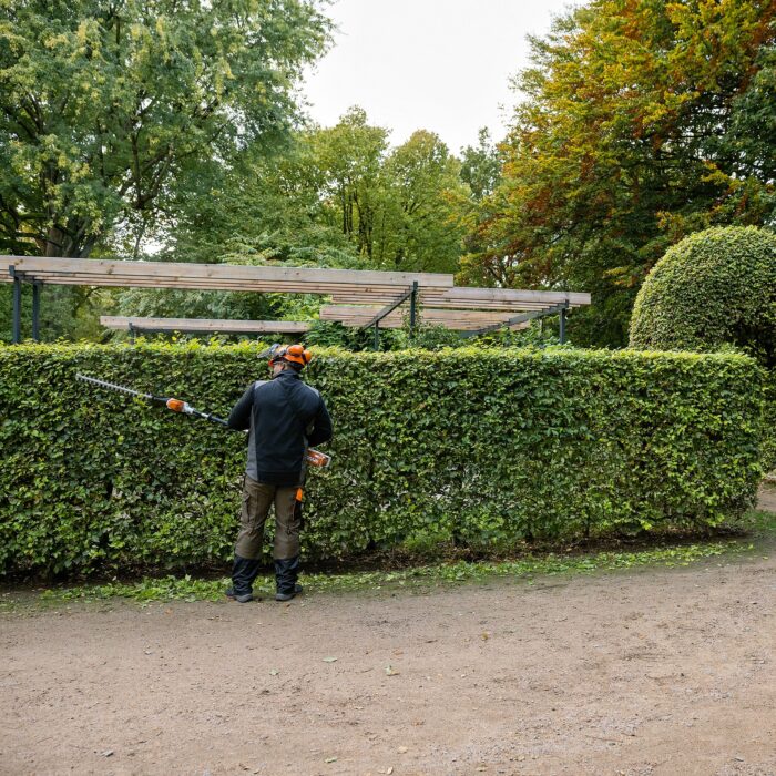 Stihl HLA66 Cordless Long Reach Hedgetrimmer - Image 3